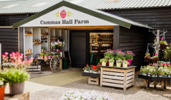 Cammas Hall Farm