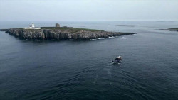 Farne Islands