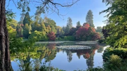 Sheffield Park and Garden