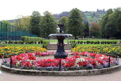 Curious About The Matlocks