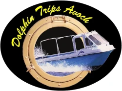 Dolphin Trips Avoch