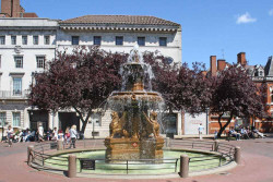 Curious About Leicester