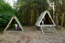 West Walk, Forest of Bere