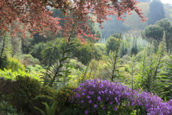 Ventnor Botanic Gardens