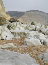 Trial a Bite Rock and Fossil Tours