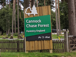 Cannock Chase Forest
