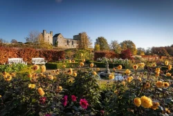 Helmsley Walled Garden