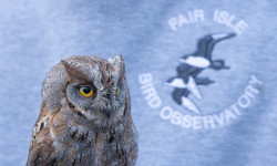 Fair Isle Bird Observatory