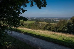 Hartshill Hayes Country Park