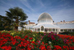 Belfast Botanic Gardens and Palm House