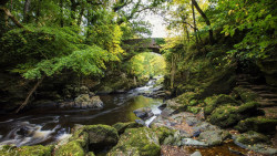 Roe Valley Country Park