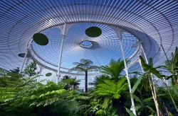 Glasgow Botanic Gardens
