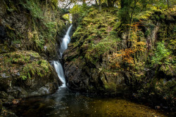 Aira Force and Gowbarrow Park