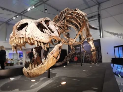 National Library of Scotland at Kelvin Hall