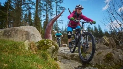 Coed y Brenin Forest Park