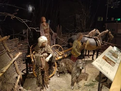 Hull and East Riding Museum