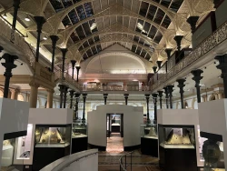 The National Museum of Ireland