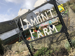 Lamont Farm Project