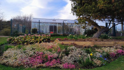 Barnhill Rock Garden