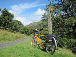 Wheely Wonderful Cycling