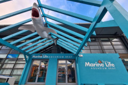 Marine Life Aquarium Bray