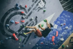 The Climbing Academy - The Newsroom