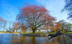 Duthie Park