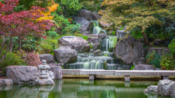 Kyoto Garden