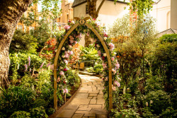 Mount Street Garden