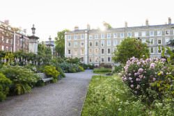 Inner Temple Garden