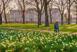 The Green Park