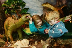 Torquays Dinosaur World