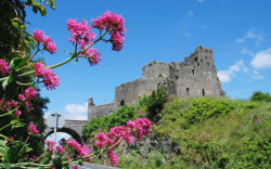 Carlingford Castle