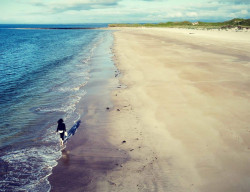 Ross Beach