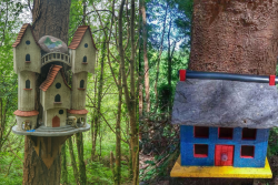 Glenbeigh Fairy Forest
