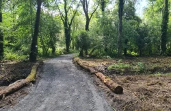 Oak Park Forest Park