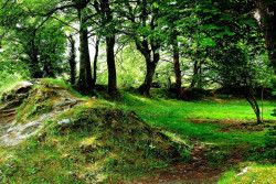 Ballyallaban Earthen Ringfort