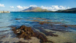 Old Head Beach