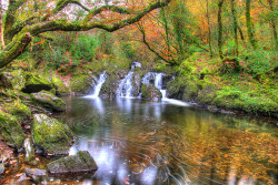 Glengarriff Nature Reserve