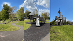 Tom Ruane Park