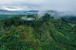 Wild Nephin National Park