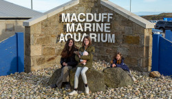 Macduff Marine Aquarium