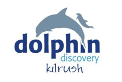 Dolphin Discovery
