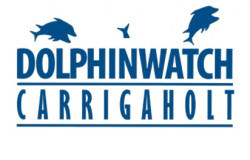 Dolphinwatch Carrigaholt