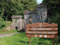 Castle Caldwell Forest