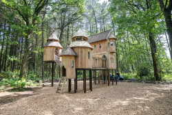 Pomeroy Forest