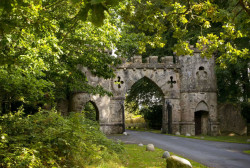 Tollymore Forest Park