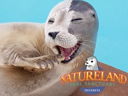 Natureland Seal Sanctuary