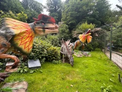 Combe Martin Wildlife & Dinosaur Park