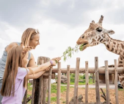 West Midland Safari & Leisure Park